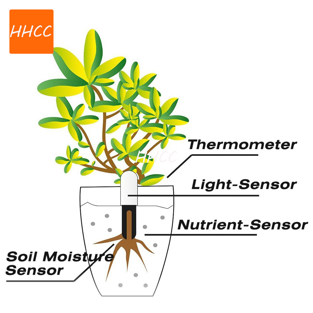 Hhcc-Xiaomi用のスマート植物モニター、花の手入れの - Smart Garden Xiaomi のレビューと価格