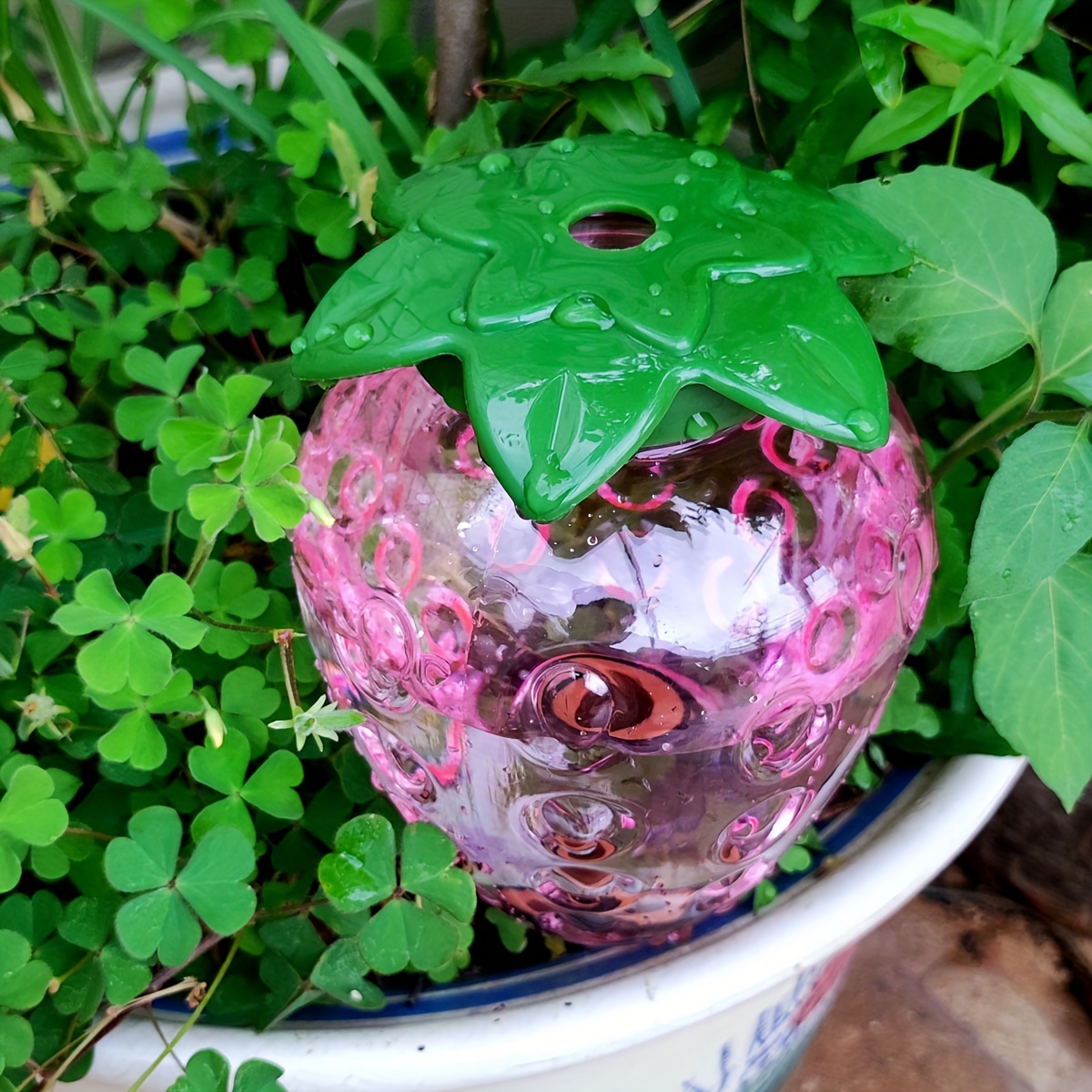 屋内用自動点滴灌漑システム,鉢植えの花と植物用の散水装置,庭 - Smart Garden Watering System のレビューと価格