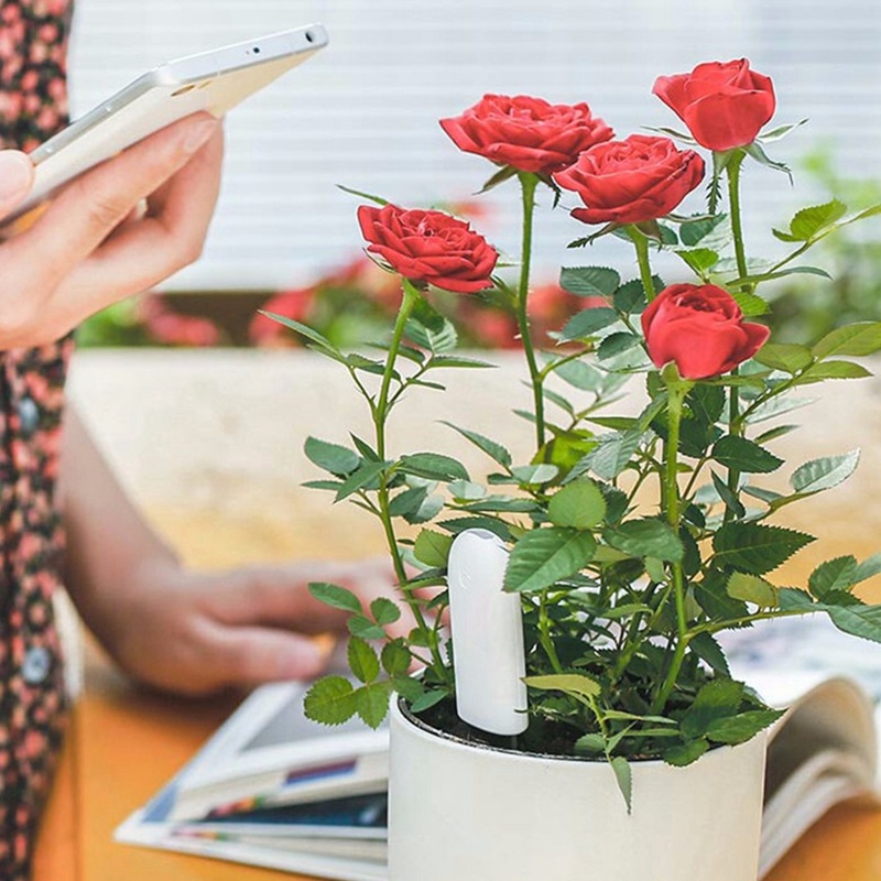 HHCC フラワーケアスマート植物モニター草土壌水肥沃度スマ - Smart Garden Xiaomi のレビューと価格